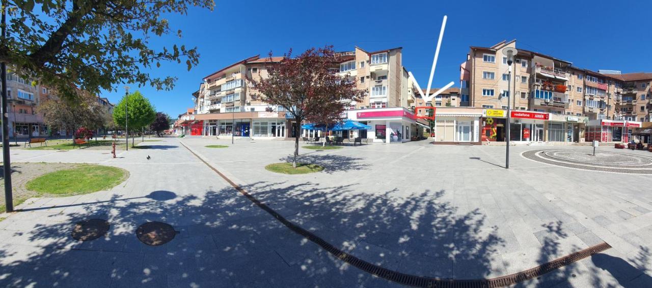 Studio Six Continents Petroşani Exterior foto